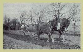 Picture of early ploughing methods