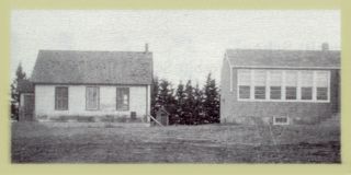 Picture of the Treesbank School