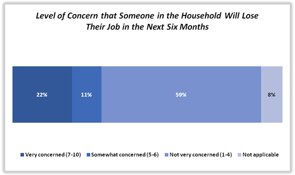 A chart shows the level of concern of respondents about job security.