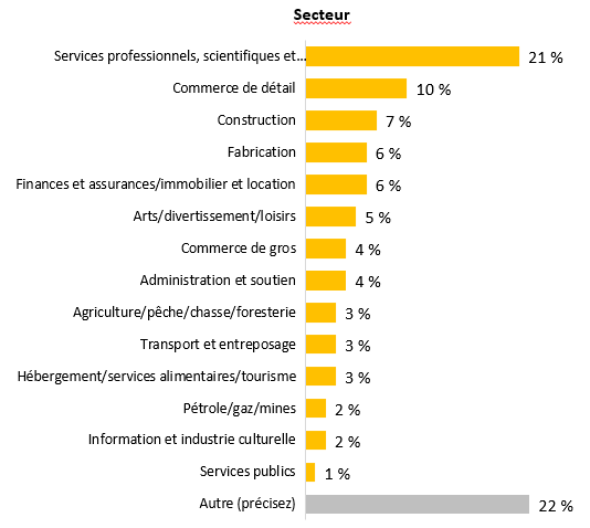Ce graphique indique le secteur d'activité des entreprises. Les secteurs les plus courants sont les services professionnels, scientifiques et techniques (21%), le commerce de détail (10%) et 'autres' (22%).