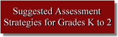 Suggested Assessment Strategies