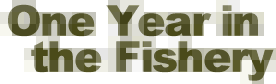 One Year in the Fishery
