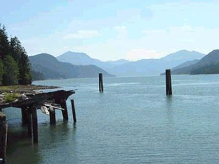 Remains of early Skeena River cannery