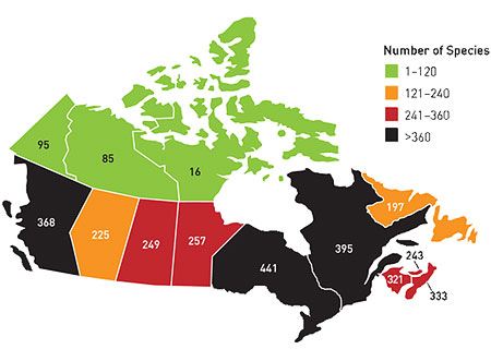 Figure 1 Numbers of invasive plant species in Canada by province and territory