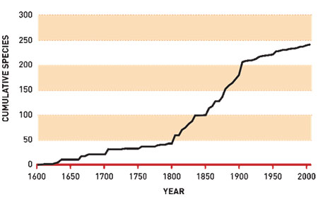 Figure 4 Cumulative number of invasive alien plant species introduced into Canada from 1600 to 2005, for which dates of introduction can be estimated