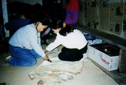 Students Scraping Caribou Hide