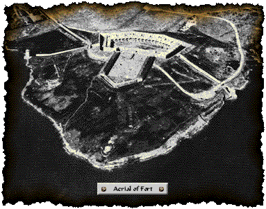 Aerial of Fort Henry (39Kb)