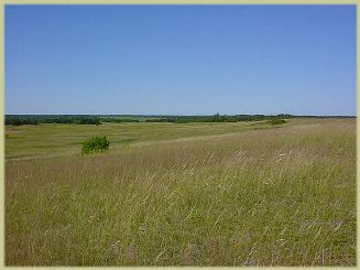 Prairie grasslands