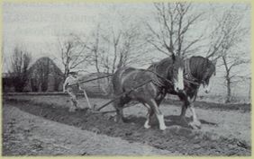A horse drawn plow