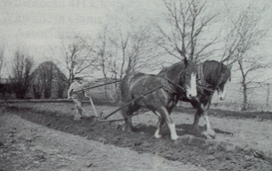 Picture of metal plow