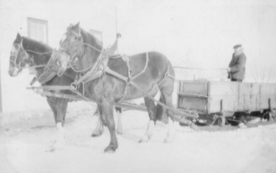 Picture of a horse-drawn sleigh