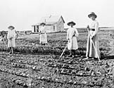 The MacLaverty family tends the family garden.