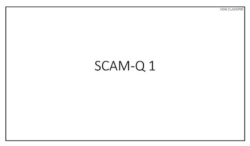 Scam-Q 1