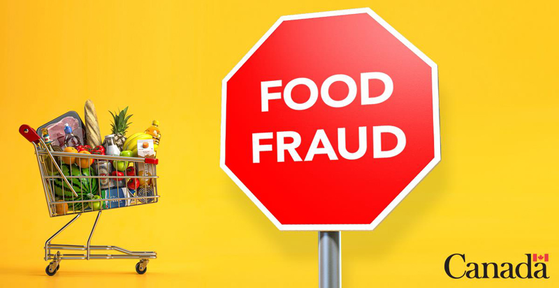 Advertising Concept 1: A picture containing a shopping cart full of grocery items, a large stop sign that reads 'FOOD FRAUD' and the Government of Canada logo across a yellow background.