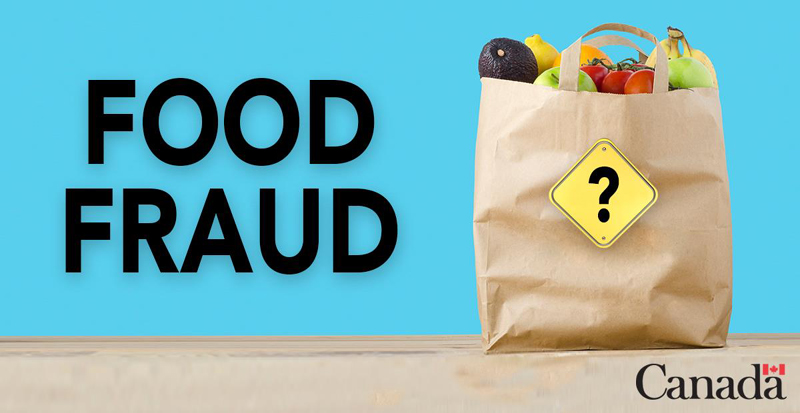 Advertising Concept 3: A picture of a brown paper shopping bag full of groceries with a traffic sign containing a question mark on the bag and a blue background with 'FOOD FRAUD' written in large text as well as the Government of Canada logo.