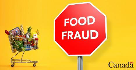 Advertising Concept A: A picture containing a shopping cart full of grocery items, a large stop sign that reads 'FOOD FRAUD' and the Government of Canada logo across a yellow background.