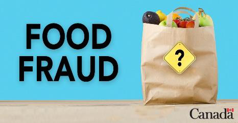 Advertising Concept C: A picture of a brown paper shopping bag full of groceries with a traffic sign containing a question mark on the bag and a blue background with 'FOOD FRAUD' written in large text as well as the Government of Canada logo.