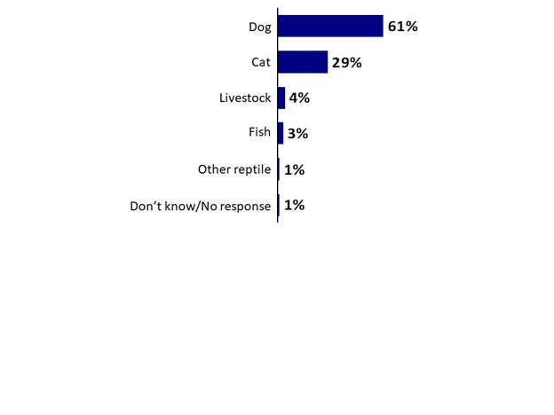 Chart 11: Type of Pet Considered. Text version below,