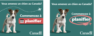 Vous amenez un chien au Canada?