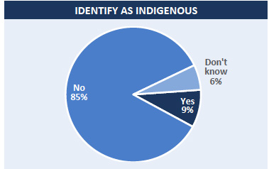 Identify as Indigenous, pie chart