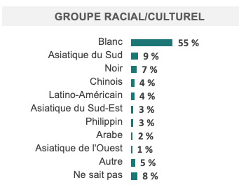 Groupe racial/culturel