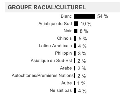 Groupe racial/culturel 