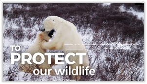 to protect our wildlife