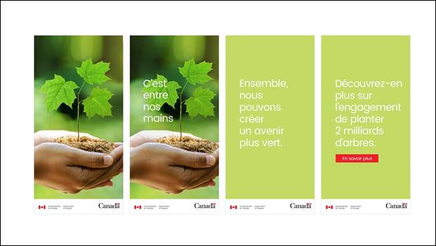 Diapositive 18 : Nous voyons quatre images d'une bannire Web. Les deux premiers montrent une main tenant un semis d'arbre, le deuxime cadre montrant les mots "C'est entre nos mains". Les deux derniers cadres ont un fond vert ple avec les mots "Ensemble, nous pouvons crer un avenir plus vert" sur un cadre et "Dcouvrez-en plus sur l'engagement de planter 2 milliards d'arbres. En savoir plus" sur le dernier cadre. Le mot-symbole du gouvernement du Canada et le logo du Canada sont indiqus sur chaque image.