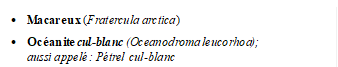 	Macareux (Fratercula arctica)
	Ocanite cul-blanc (Oceanodroma leucorhoa); 
aussi appel : Ptrel cul-blanc
