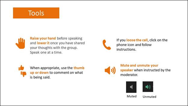 Slide 3: Tools. Raise your hand before speaking and lower it once you have shared your thoughts with the group. Speak one at a time. If you loose the call, click on the phone icon and follow instructions. When appropriate, use the thumb up or down to comment on what is being said. Mute and unmute your speaker when instructed by the moderator.