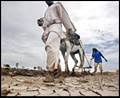 Image number 15: people walking across a dry terrain with an animal.