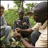 Image number 11: Man showing plant to other two adults