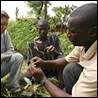 Image 11 : homme qui montre un plan  deux autres adultes.