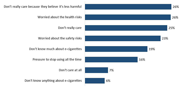 Figure 18: Parents' Perceptions of E-Cigarettes