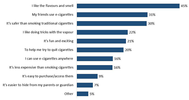 Figure 32: Reasons for E-Cigarette Use