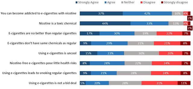 Figure 36: Attitudes Towards E-Cigarettes and Nicotine