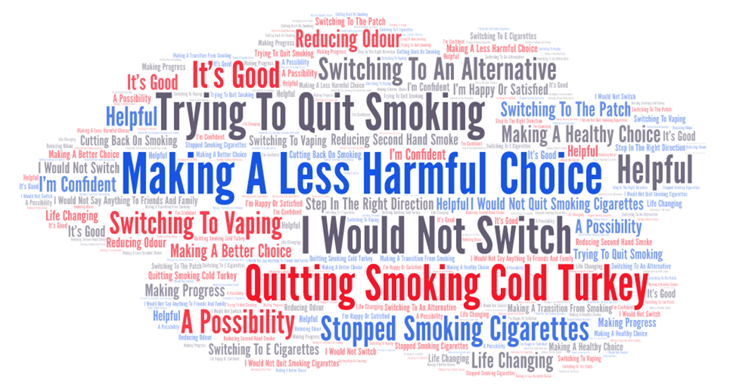 Figure 61: Words used to Describe Potentially Harm Reduced Nicotine Products [former smokers]