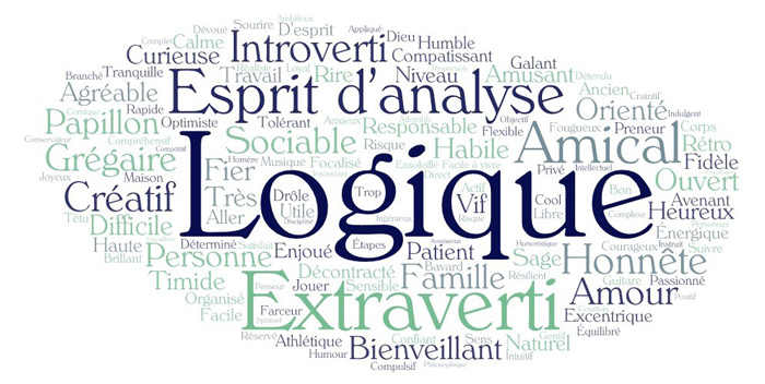 Figure 1 : Nuag mots sur e dela personnalité et le style personnel