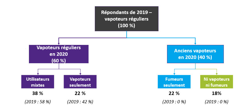 Figure 1 : Changement dans le statut de vapoteur entre 2019 et 2020