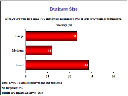 Business Size