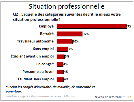 Situation professionnelle 