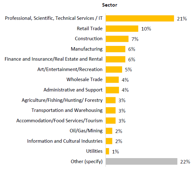 This chart shows what sector businesses are in. The most common are Professional, Scientific, Technical Services/ IT (21%), Retail Trade (10%) and Other (22%).