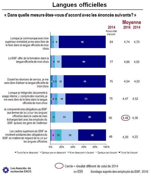 graphic 13