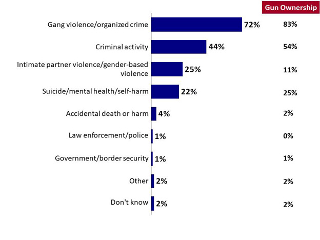 Chart 3: Perceived Causes of Firearms Violence. Text version below.
