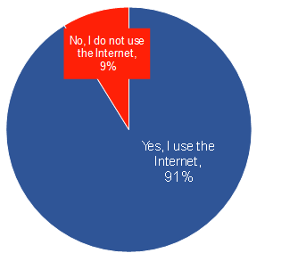 Figure 1: Internet Use