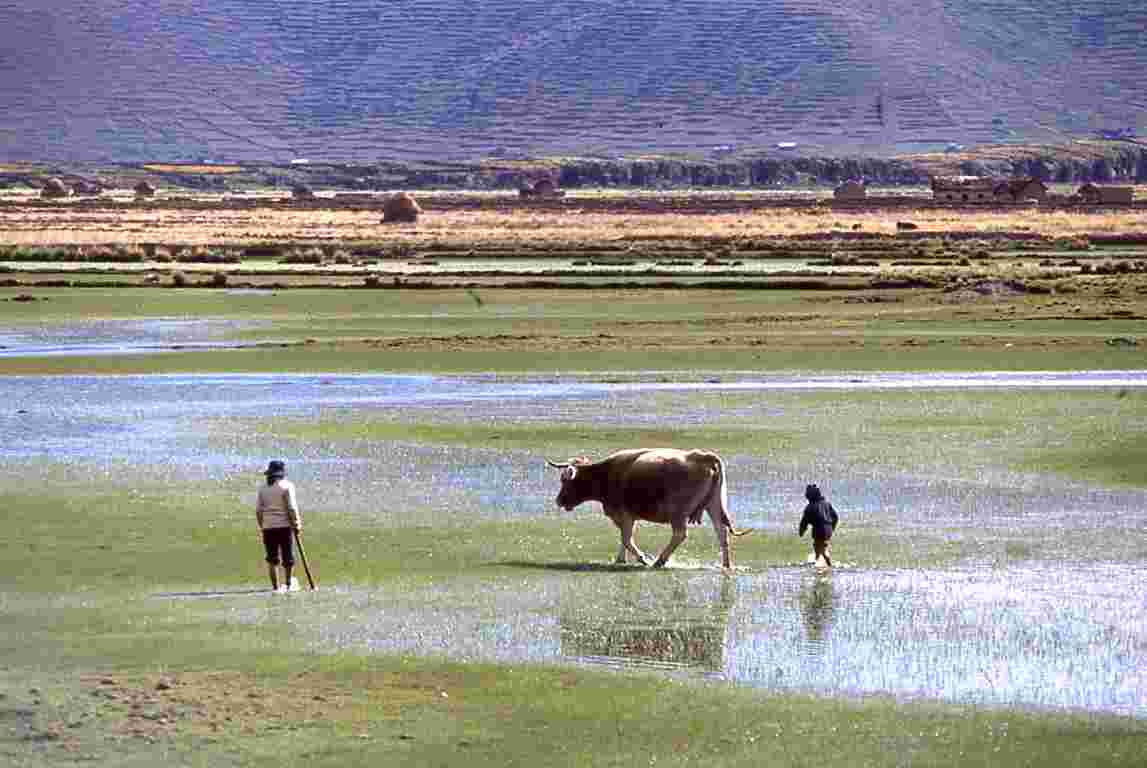 Lake Titicaca