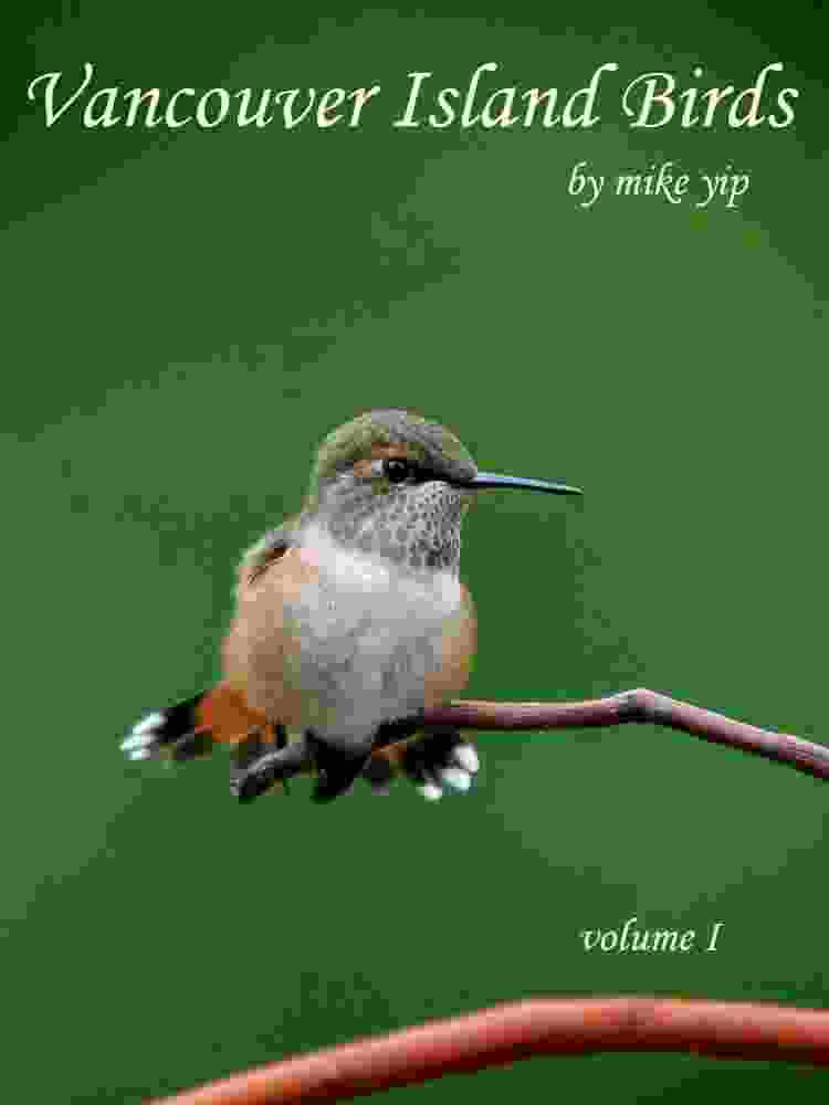 Vancouver Island Birds Vol. 1 by Mike Yip