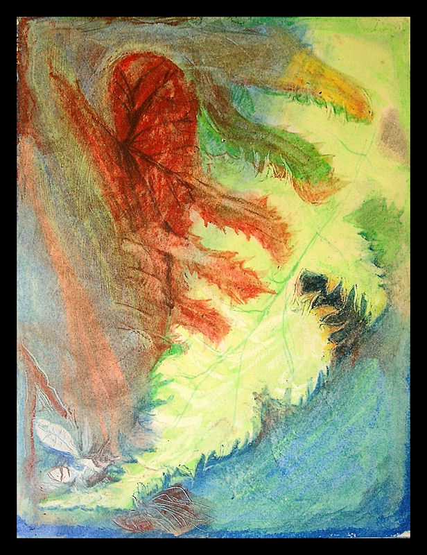 Current front Cover Image