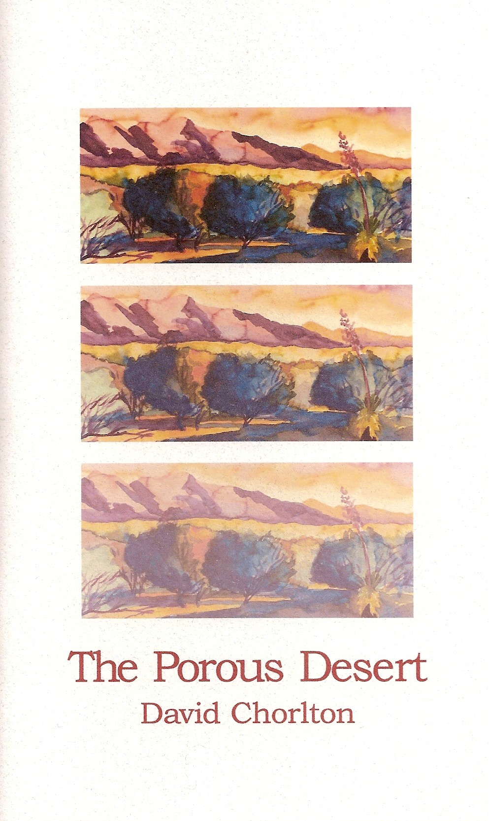 The Porous Desert