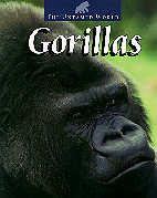 gorillas